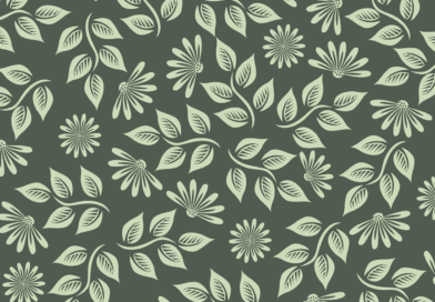 how to make a pattern peice in seamly 2d